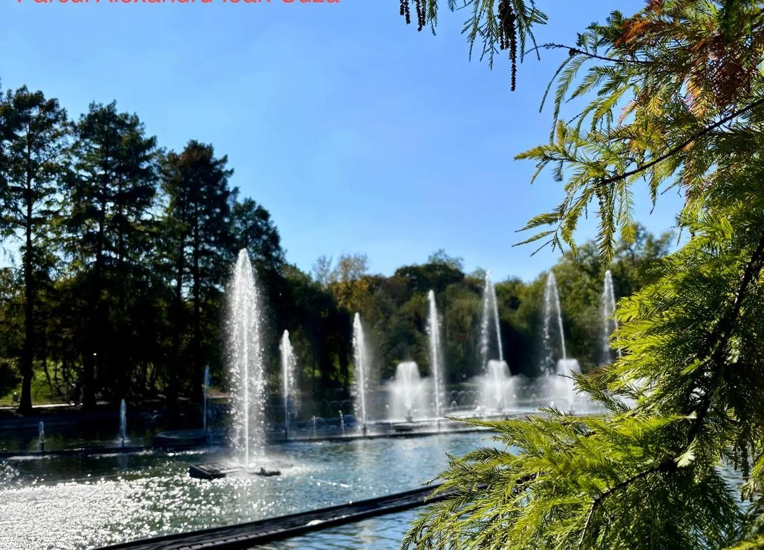 Dulce Luna Bucureşti B&B